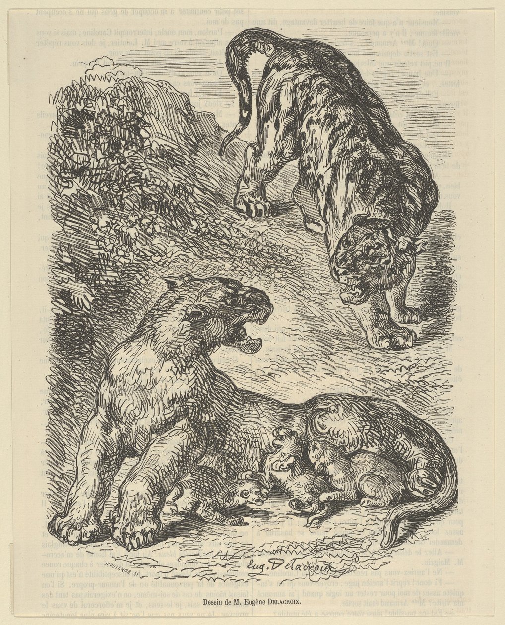 A tigris megtámadta egy tigris gyermekét szoptatva, 1853, 1853. alkotó: Eugène Delacroix