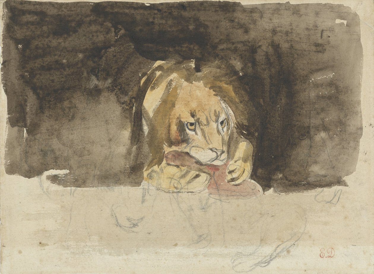 Húsevő oroszlán, elölről nézve, sötét háttér előtt jön ki alkotó: Eugène Delacroix