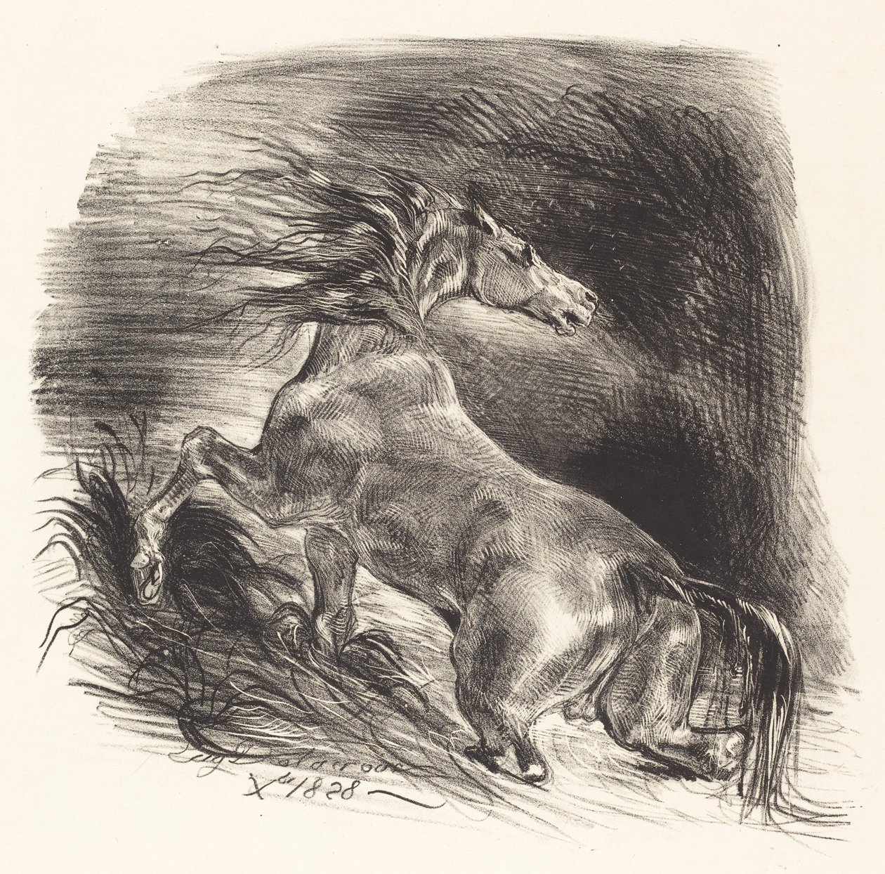 Vadló, kijön a vízből Cheval savanyú, 1828. alkotó: Eugène Delacroix