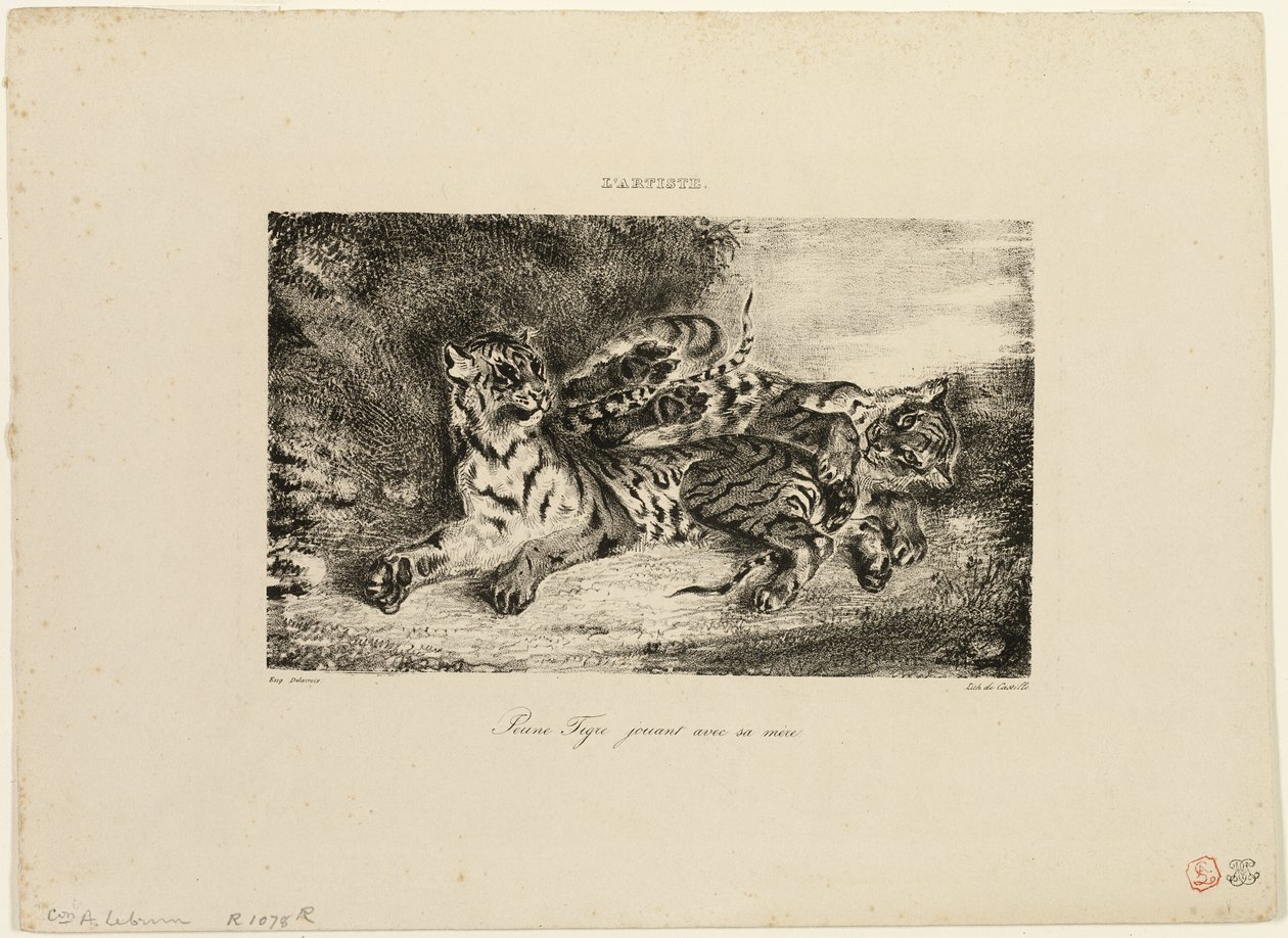 Fiatal Tigris játszik az anyjával alkotó: Eugène Delacroix