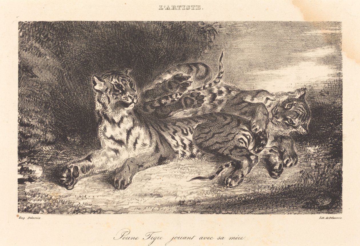 Fiatal Tigris játszik az anyjával alkotó: Eugène Delacroix