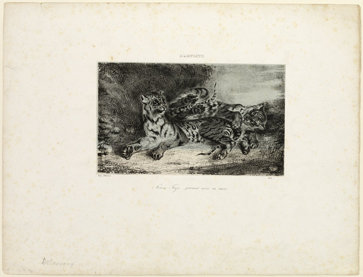 Fiatal Tigris játszik az anyjával alkotó: Eugène Delacroix