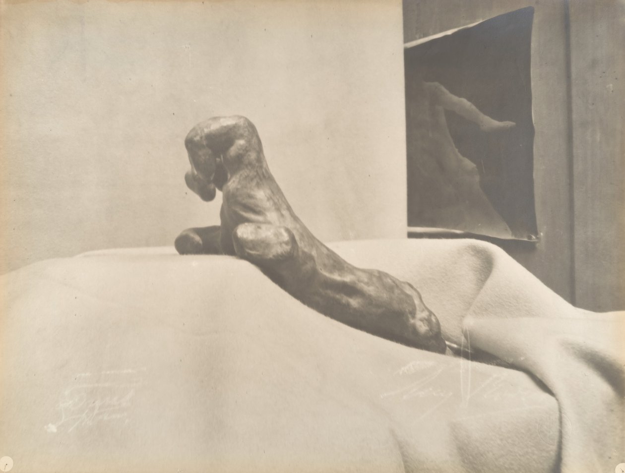 [Auguste Rodin: Összeszorított kéz], 1898 előtt. alkotó: Eugène Druet
