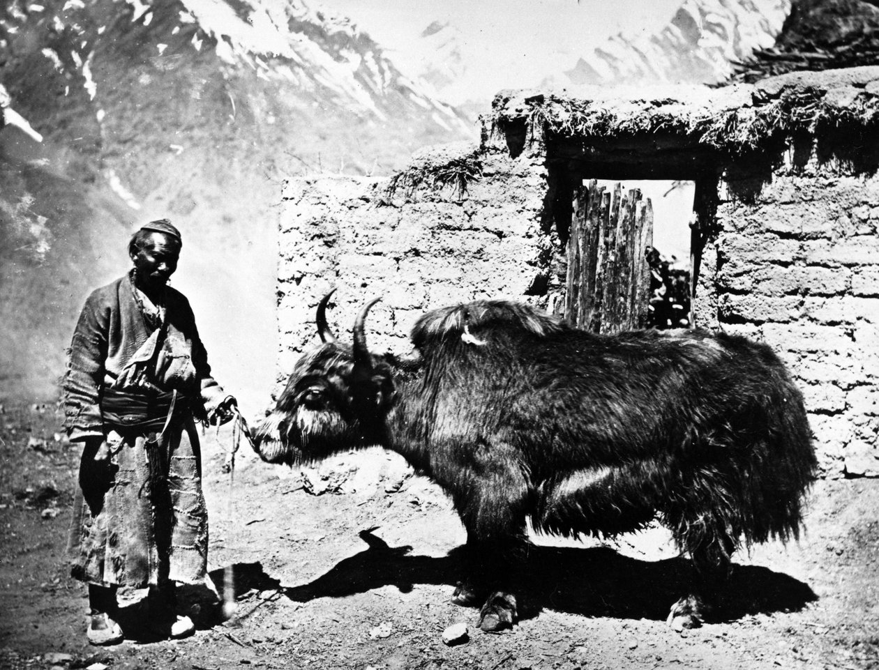 jakot pumpálni, 1860-80 alkotó: European Photographer
