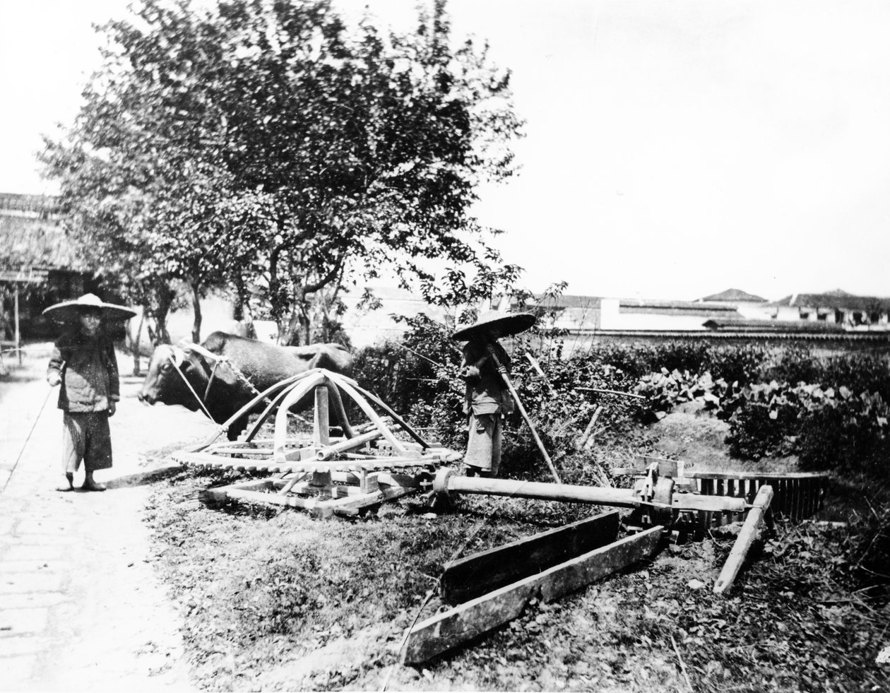 Ox-Driven Irrigation, Kína, 1870-80 körül alkotó: European Photographer