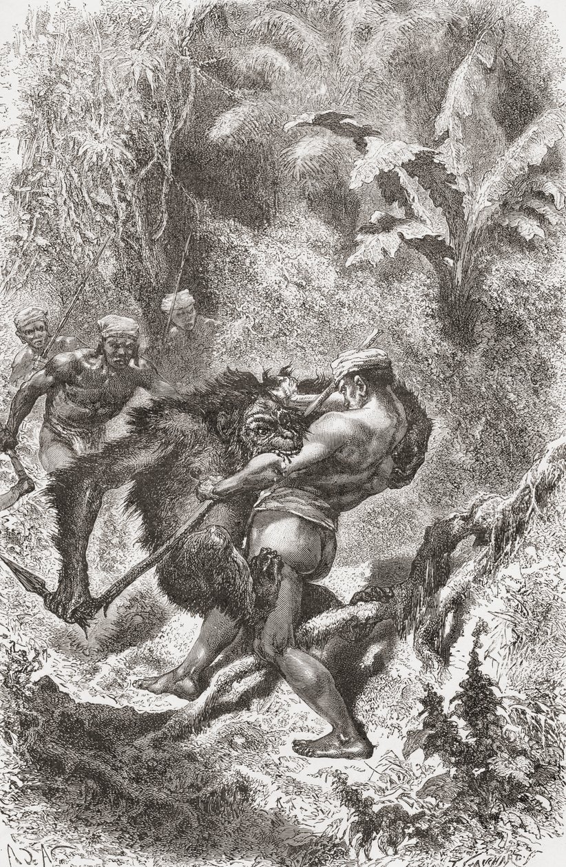 Egy borneói dayak bennszülött, aki orangutánnal harcol, az „El Mundo en la Mano” című könyvből, 1878-ban alkotó: European School