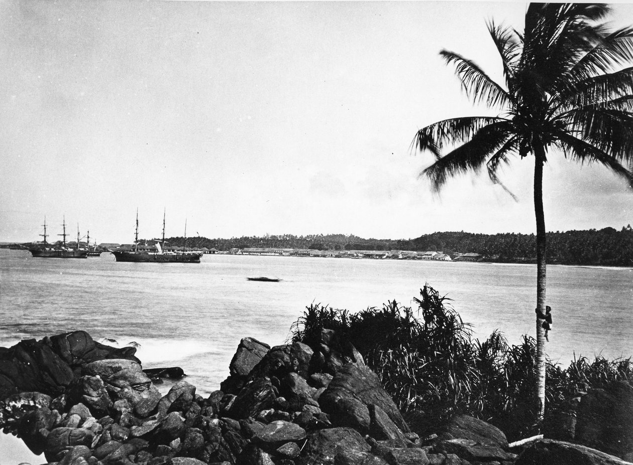 Colombói kikötő, 1860-80 körül alkotó: European Photographer