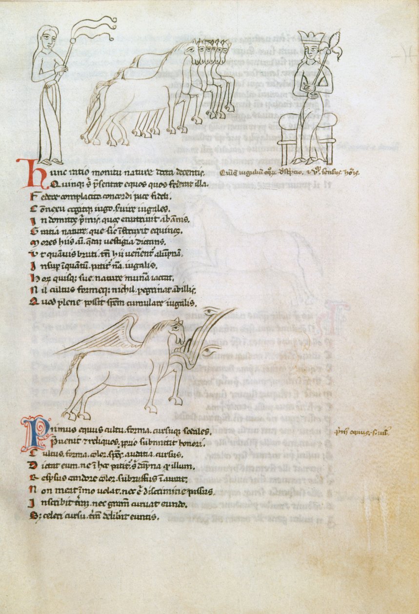 Bestiárium: a ló (tinta pergamen) alkotó: European School