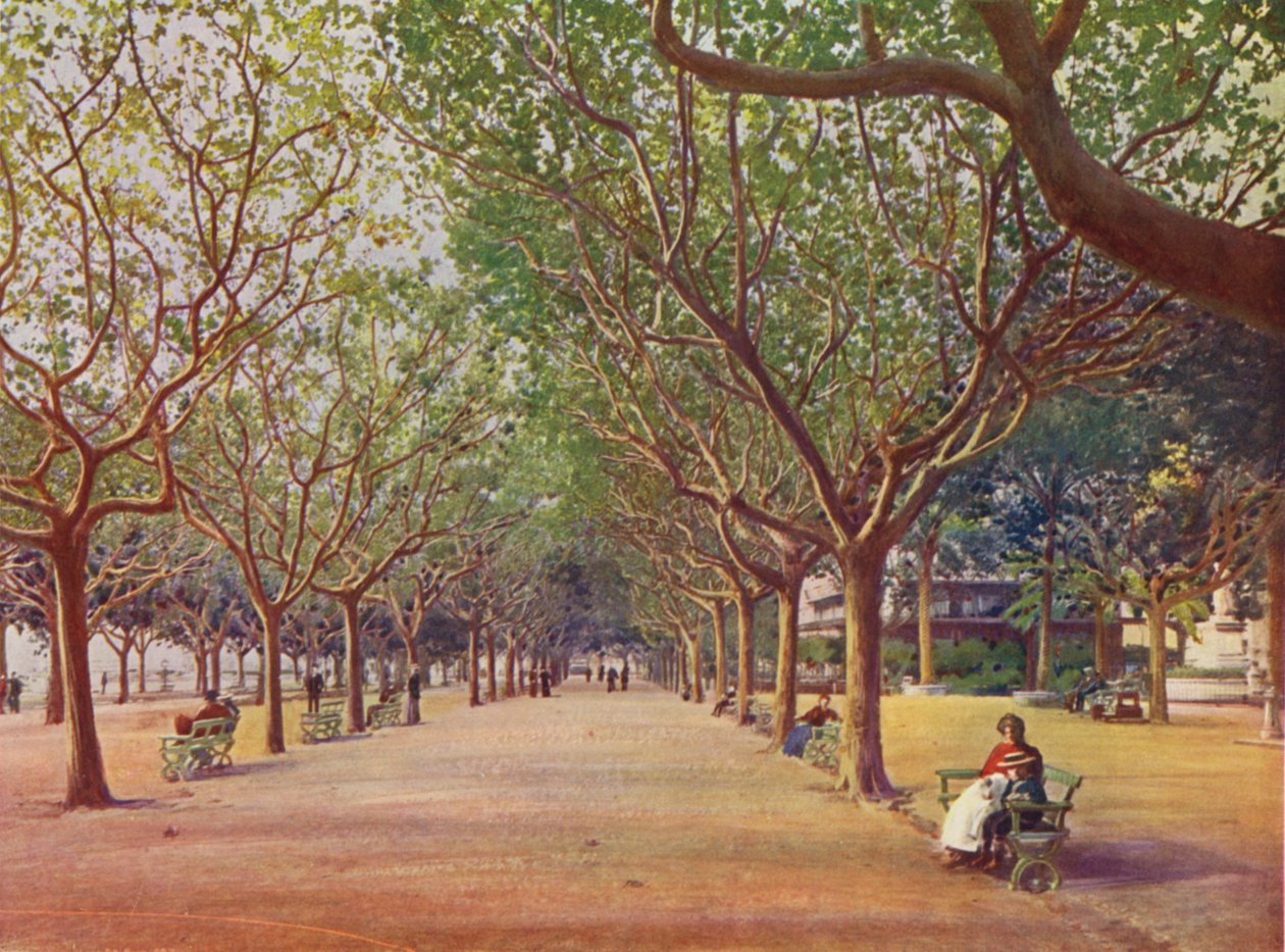 Cannes, Les Allees (színes litográfia) alkotó: European School