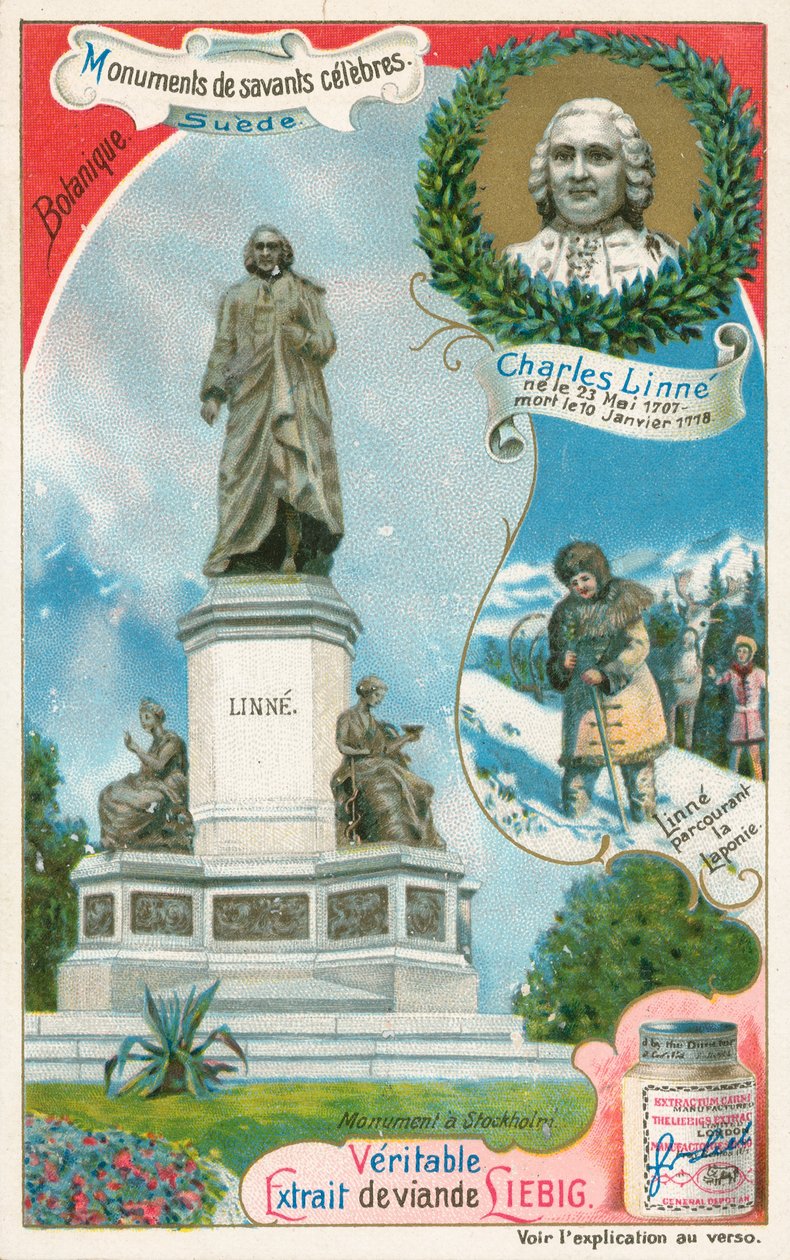 Carl Linnaeus, Liebig-kártya, 20. század eleje (kromo) alkotó: European School