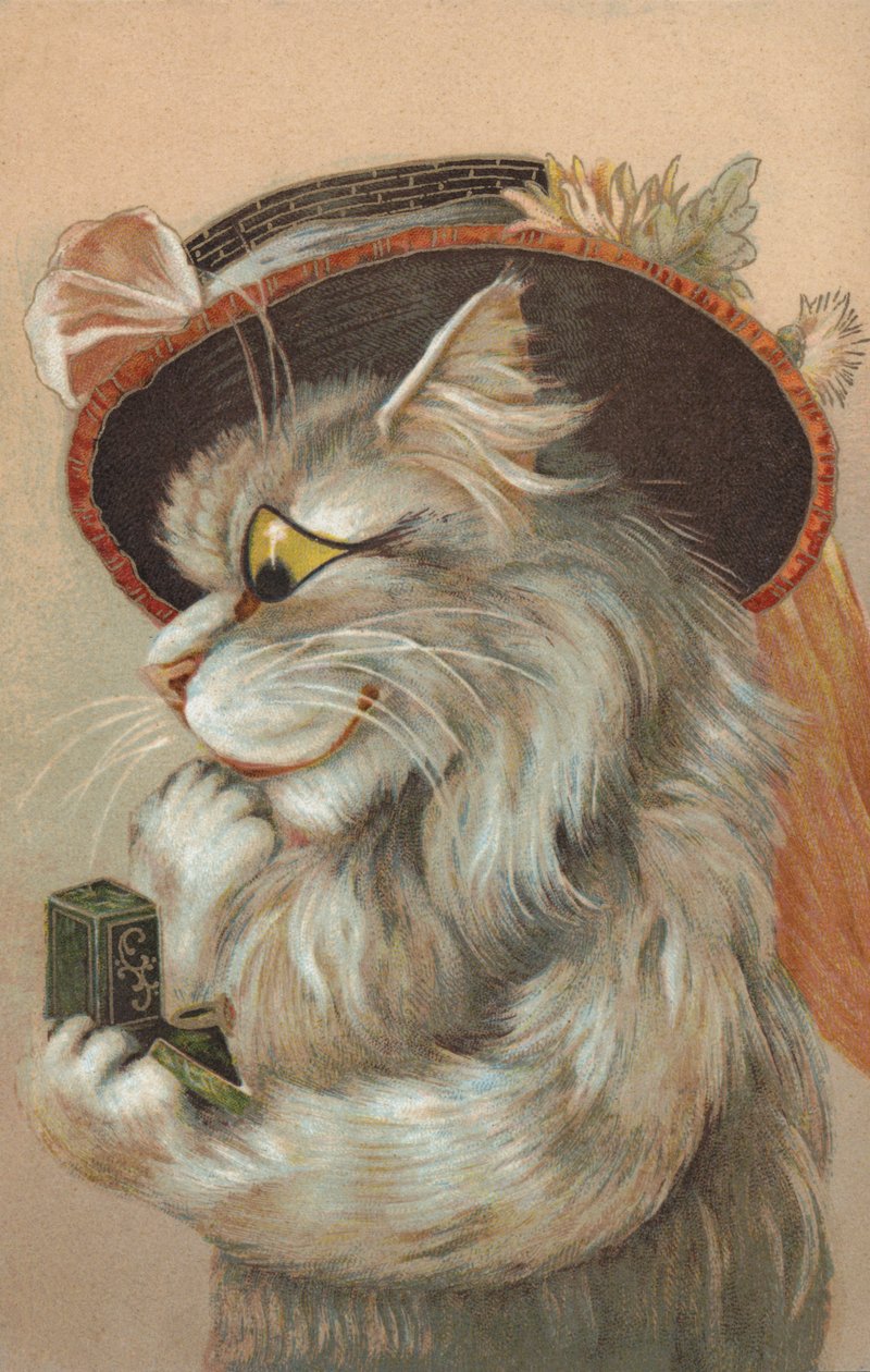 Macska kalapot visel és egy gyűrűt néz (chromolitho) alkotó: European School