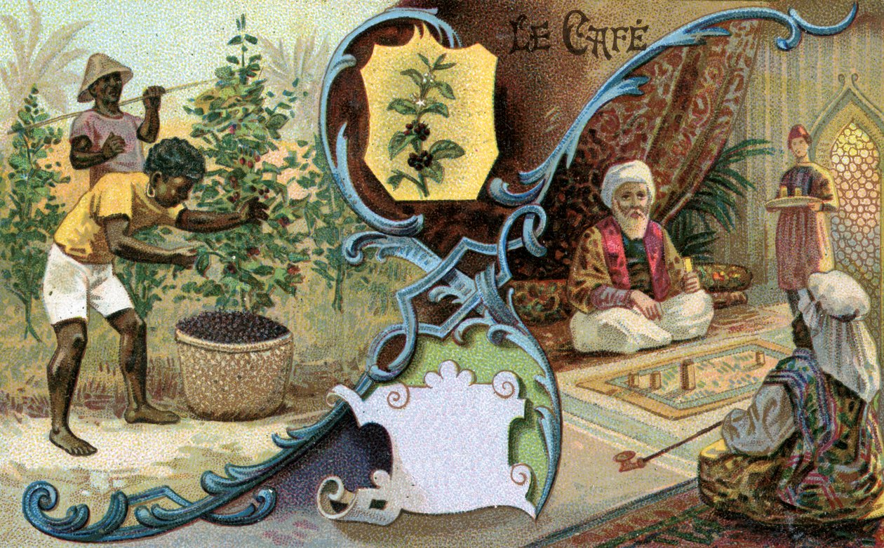 Kávé, 1899 alkotó: European School