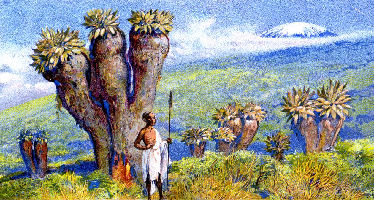 Óriás földikutya, Kilimandzsáró, Afrika alkotó: European School
