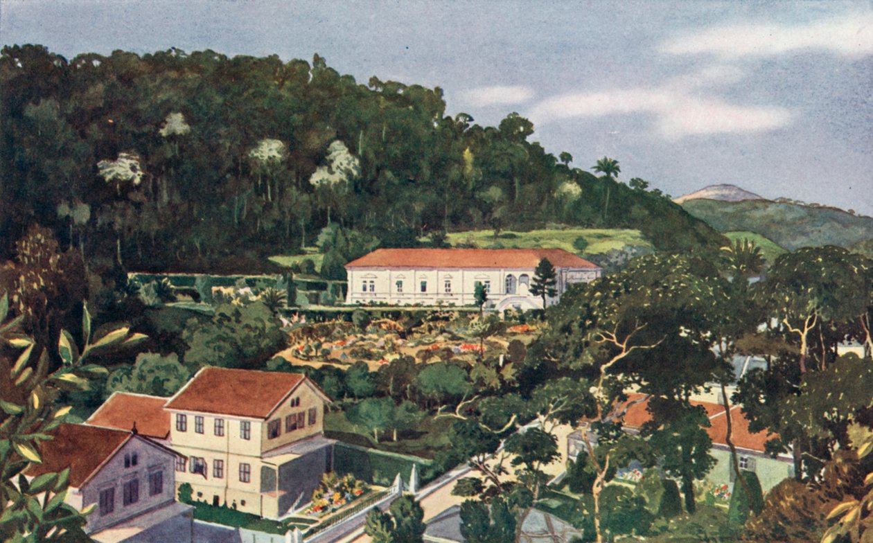 Ő brit királyi felsége követsége, Petropolis (színes litográfia) alkotó: European School