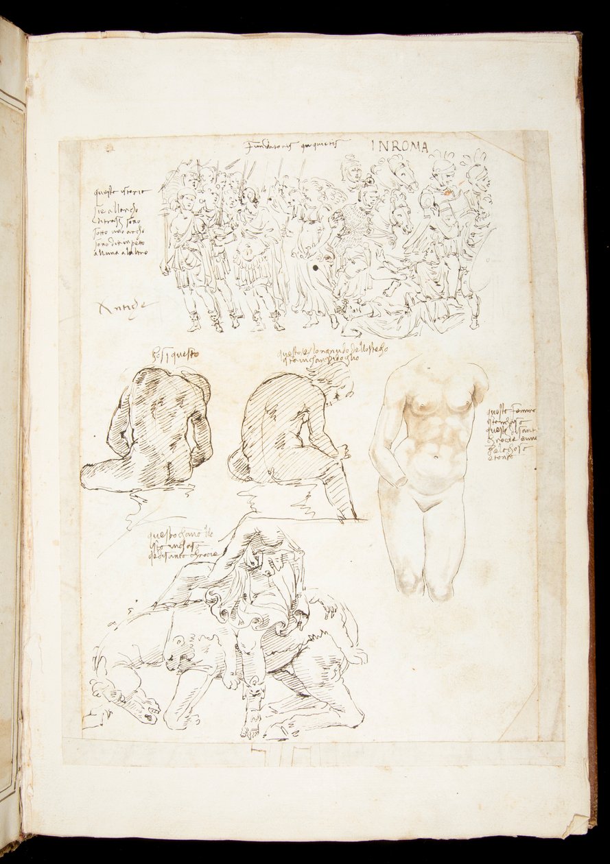 Ms 701 fl.34v, rajz, amely a Spinario hátulnézetét tartalmazza, 15. század vége (toll és tinta papíron) alkotó: European School