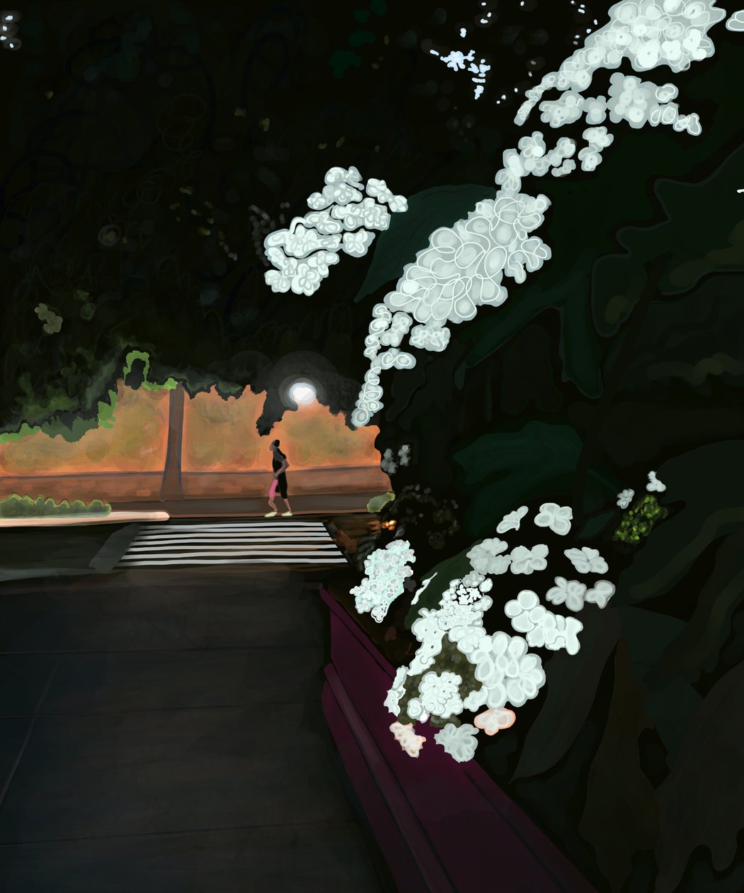 Reggel 6 óra. Esős reggel és kocogó. Prospect park west (digitális művészet) alkotó: Evan Sklar