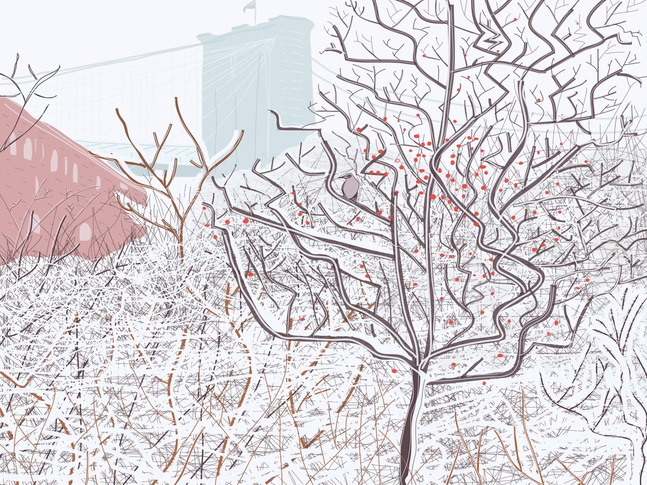 Bird In Snow, Brooklyn Bridge Park (digitális művészet) alkotó: Evan Sklar