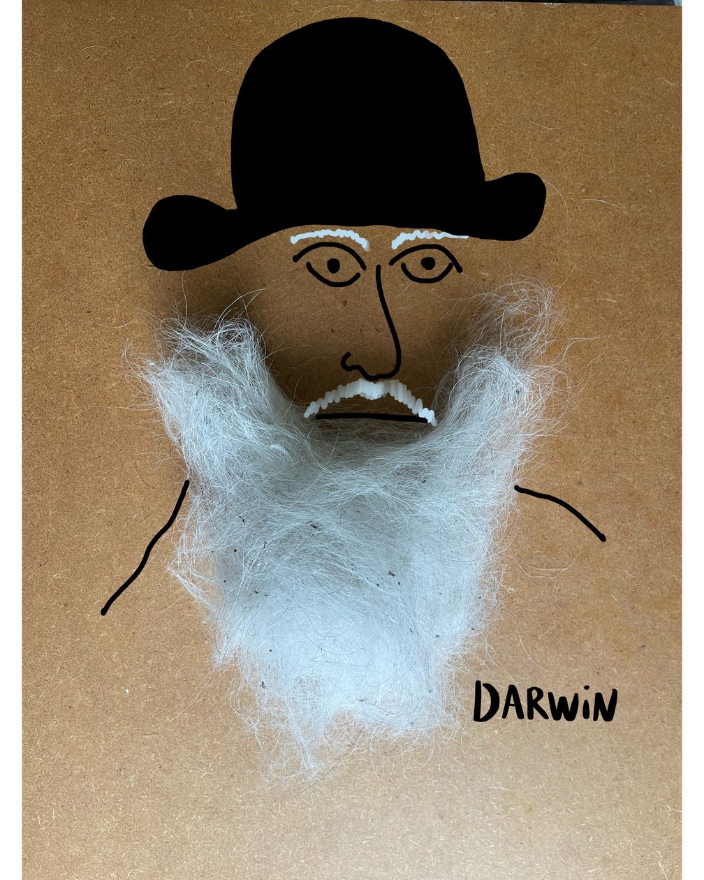 Charles Darwin alkotó: Evan Sklar