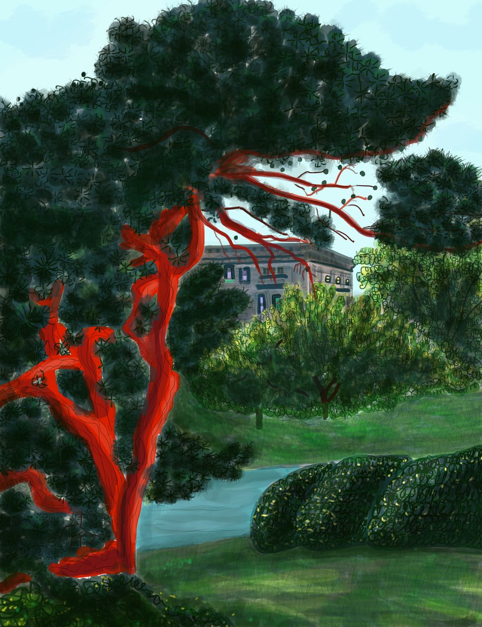 Conifer At Litchfield Villa, Prospect Park (digitális művészet) alkotó: Evan Sklar