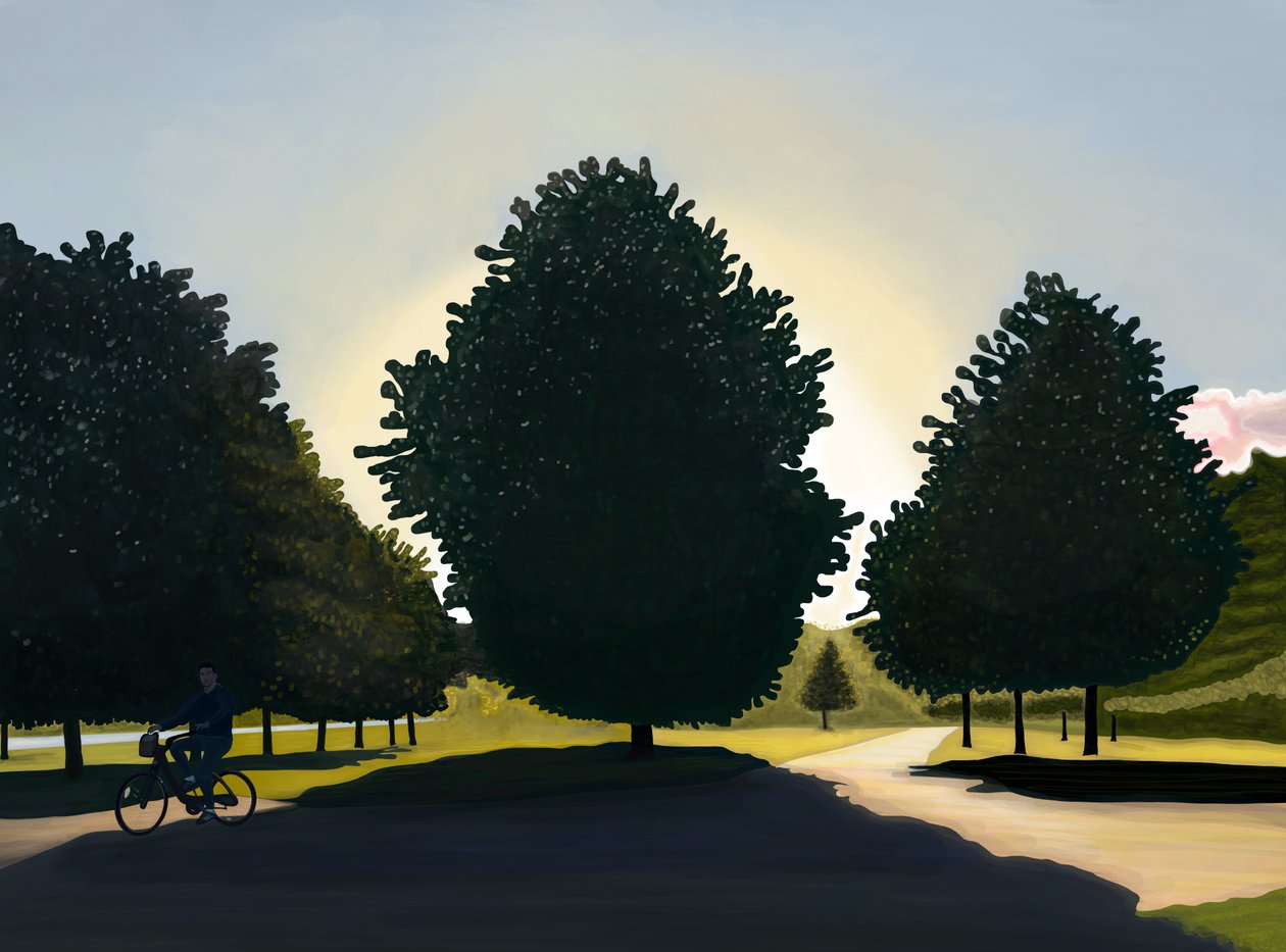 Kerékpáros, Hajnal, Hyde Park (digitális művészet) alkotó: Evan Sklar
