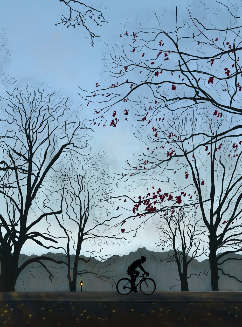 Kerékpáros, reggel, Prospect Park (digitális művészet) alkotó: Evan Sklar