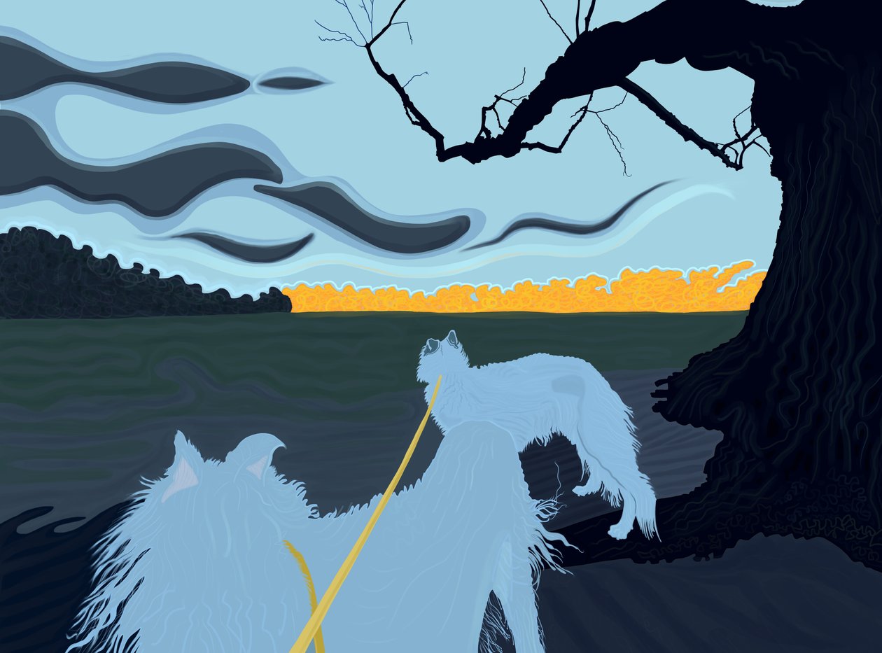 Dogs In Shade, Brooklyn (digitális művészet) alkotó: Evan Sklar
