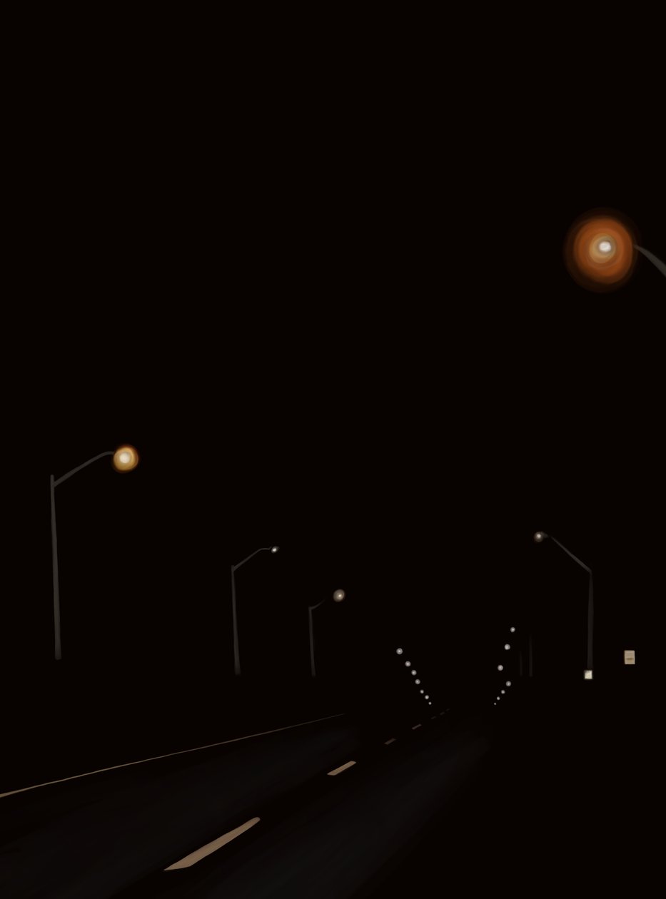 Driving The Road At Night #2 Brooklyn (digitális művészet) alkotó: Evan Sklar