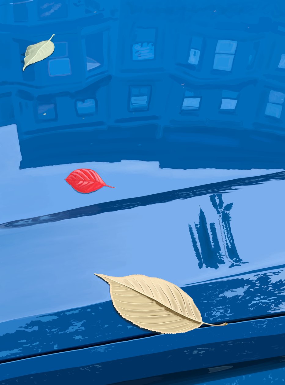 Hullott levelek kék autóra, Brooklyn (digitális művészet) alkotó: Evan Sklar