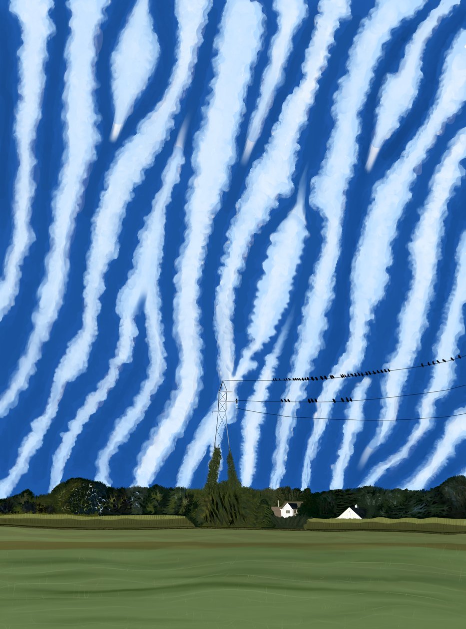 Field and Wires, North Fork, Long Island alkotó: Evan Sklar