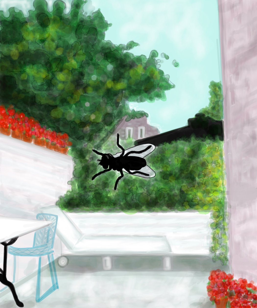 Fly On Window, Brooklyn (digitális művészet) alkotó: Evan Sklar