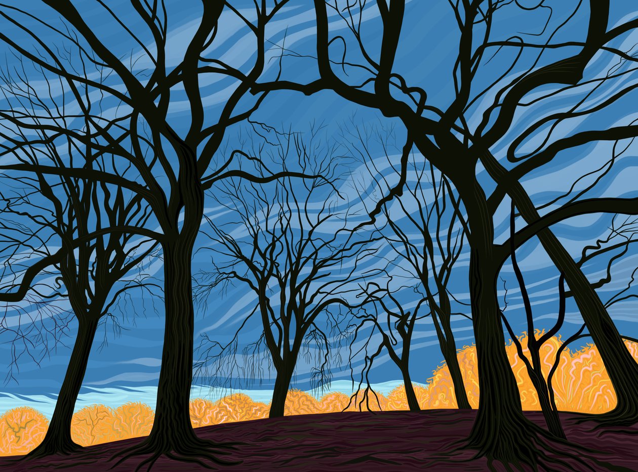 Grove of Elm Trees In Early Winter (digitális művészet) alkotó: Evan Sklar