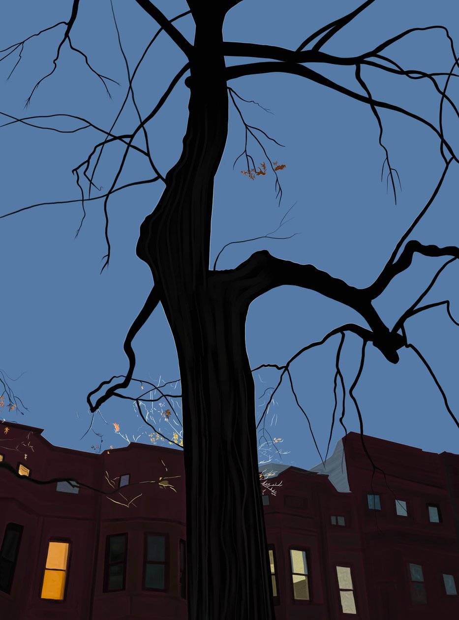 Házak és fák éjszaka, Brooklyn. (digitális művészet) alkotó: Evan Sklar