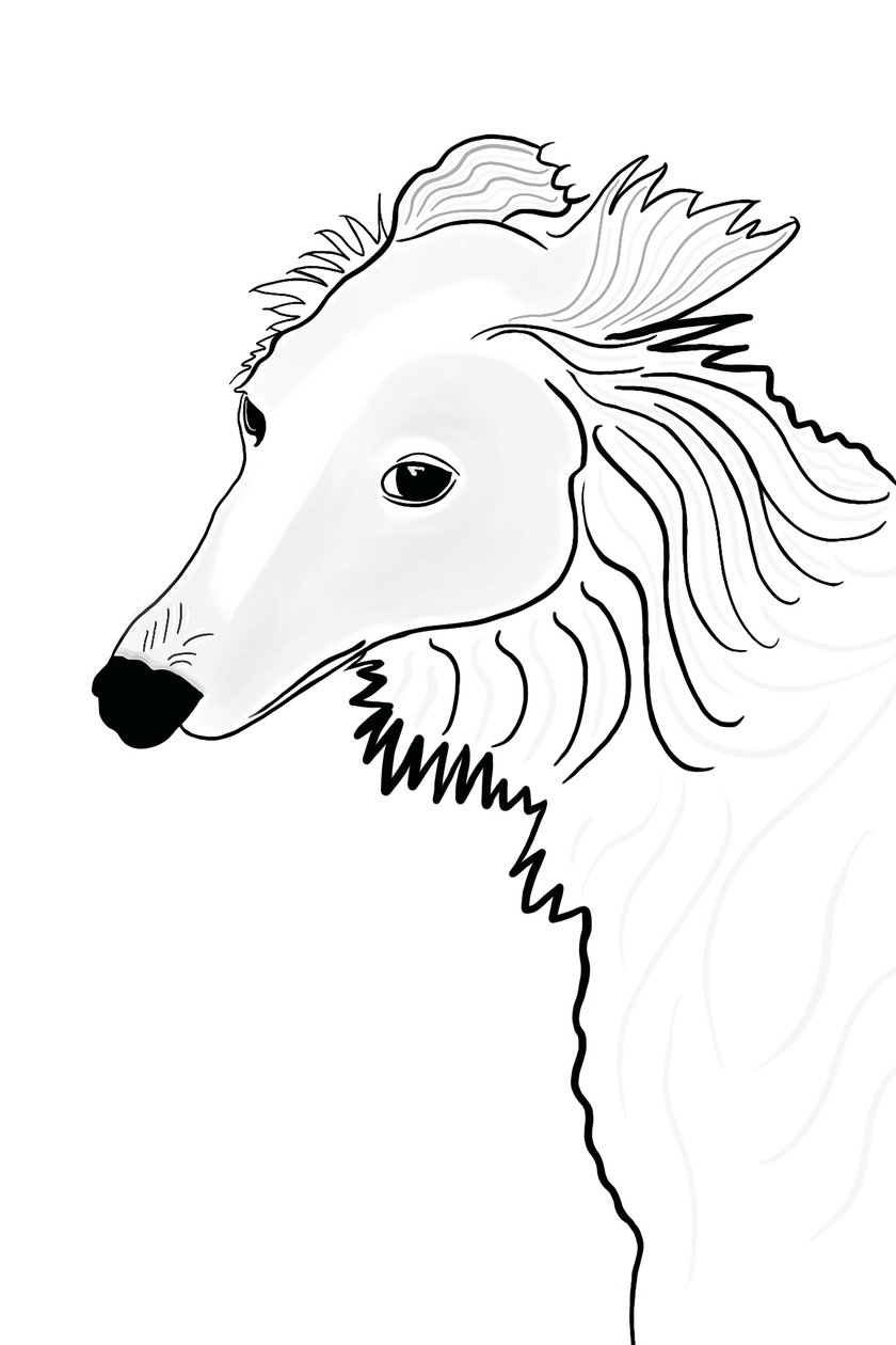 Vonalrajz a Silken Windhound (digitális művészet) alkotó: Evan Sklar