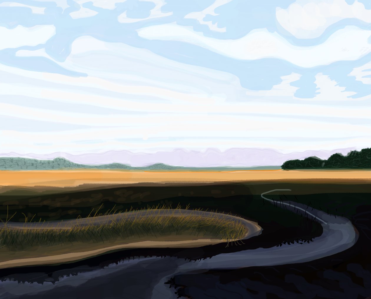 Low Country, 2016 (kézzel rajzolva egy iPad-en egy Apple ceruzával) alkotó: Evan Sklar