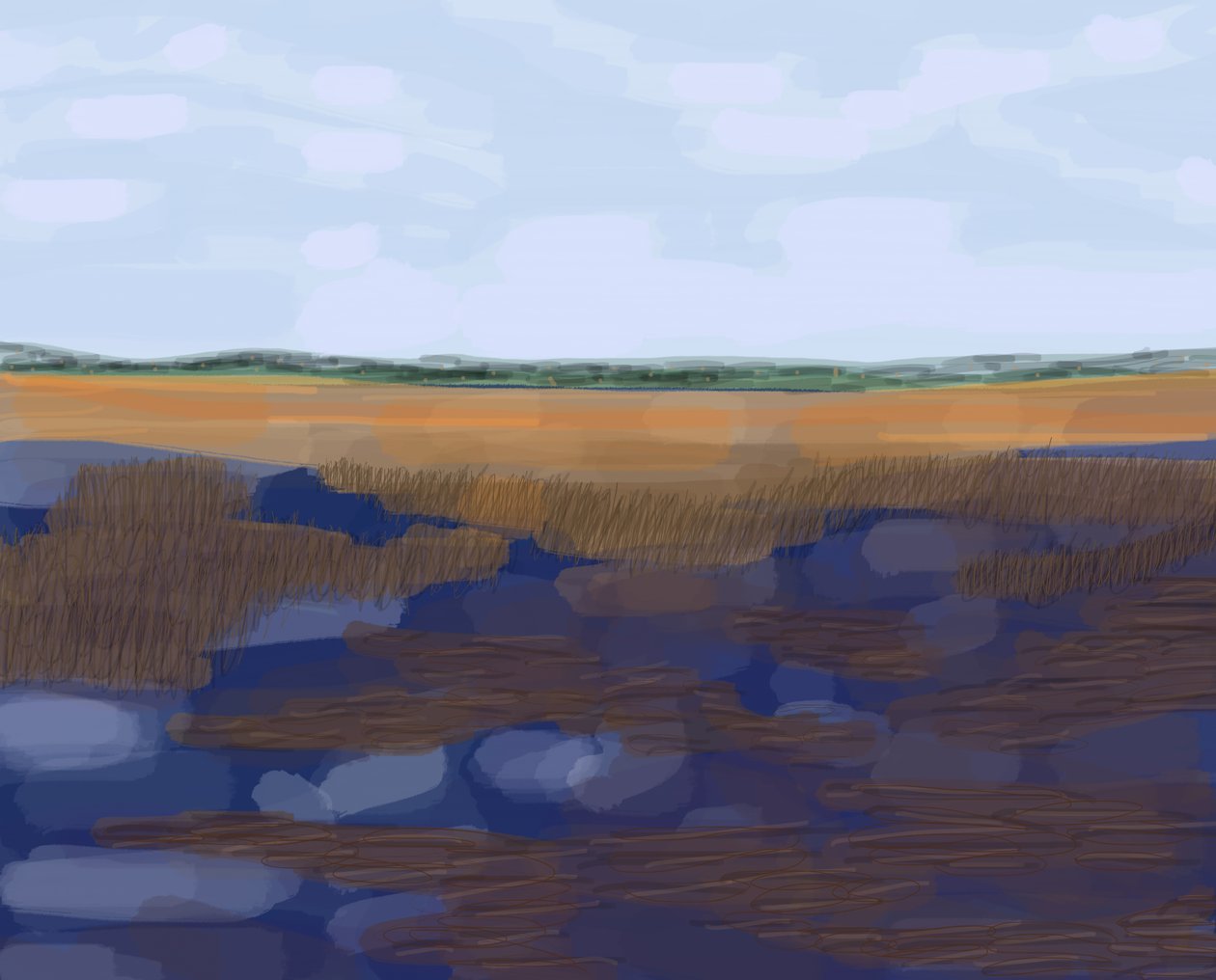 Low Country, 2016 (kézzel rajzolva egy iPad-en egy Apple ceruzával) alkotó: Evan Sklar