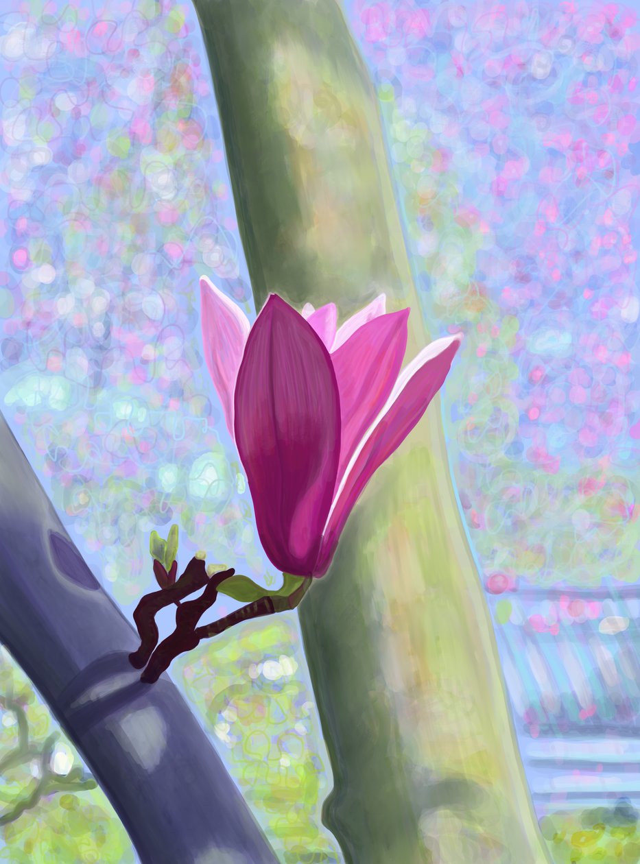 Magnolia Blossom (digitális művészet) alkotó: Evan Sklar