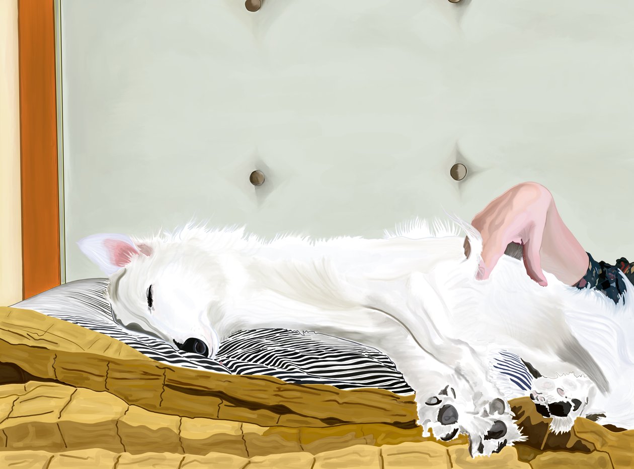 Penny On Yellow Comforter, Brooklyn (digitális művészet) alkotó: Evan Sklar