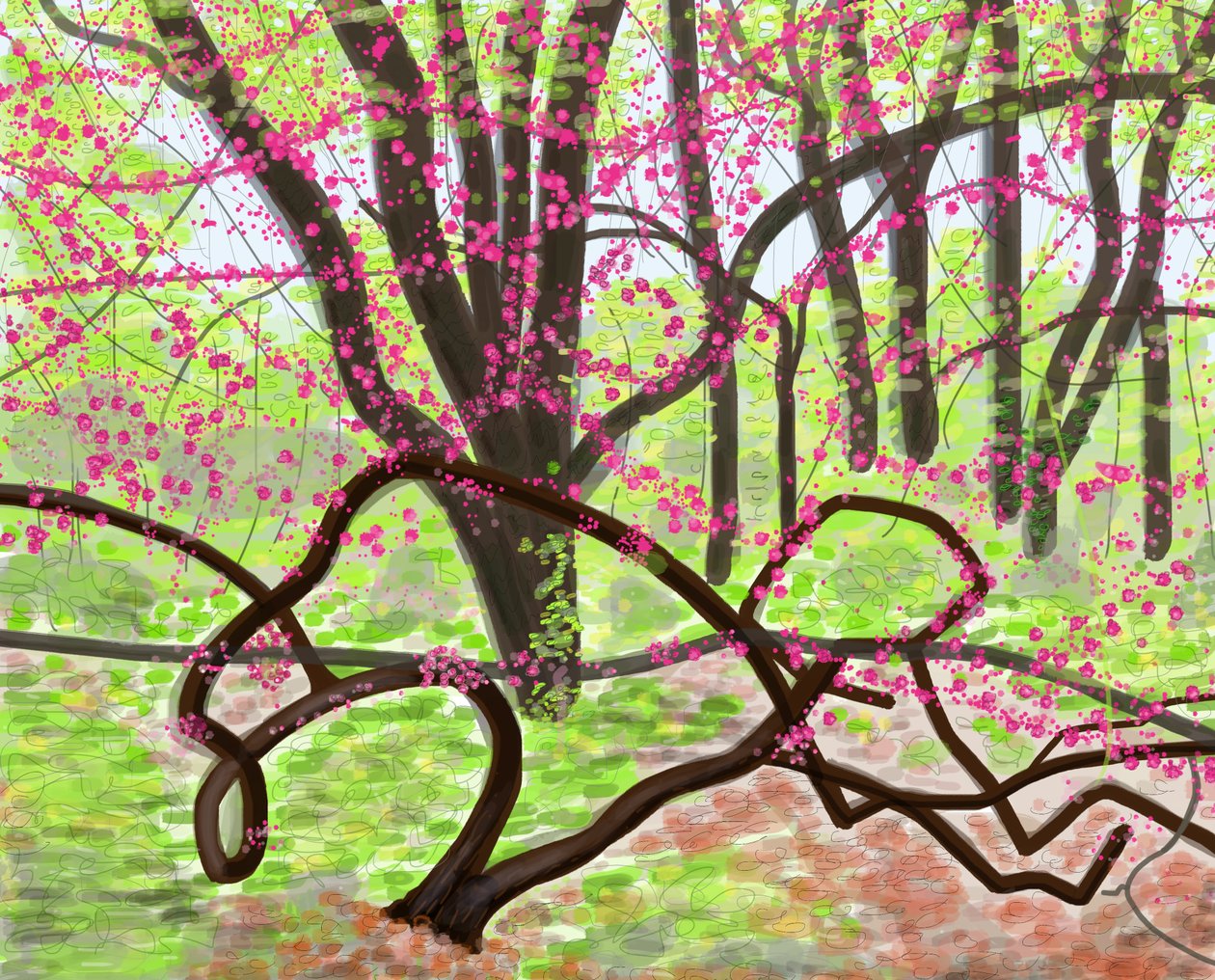 Prospect Park, tavasz, 2017 (kézzel rajzolva egy iPad-en egy Apple ceruzával) alkotó: Evan Sklar