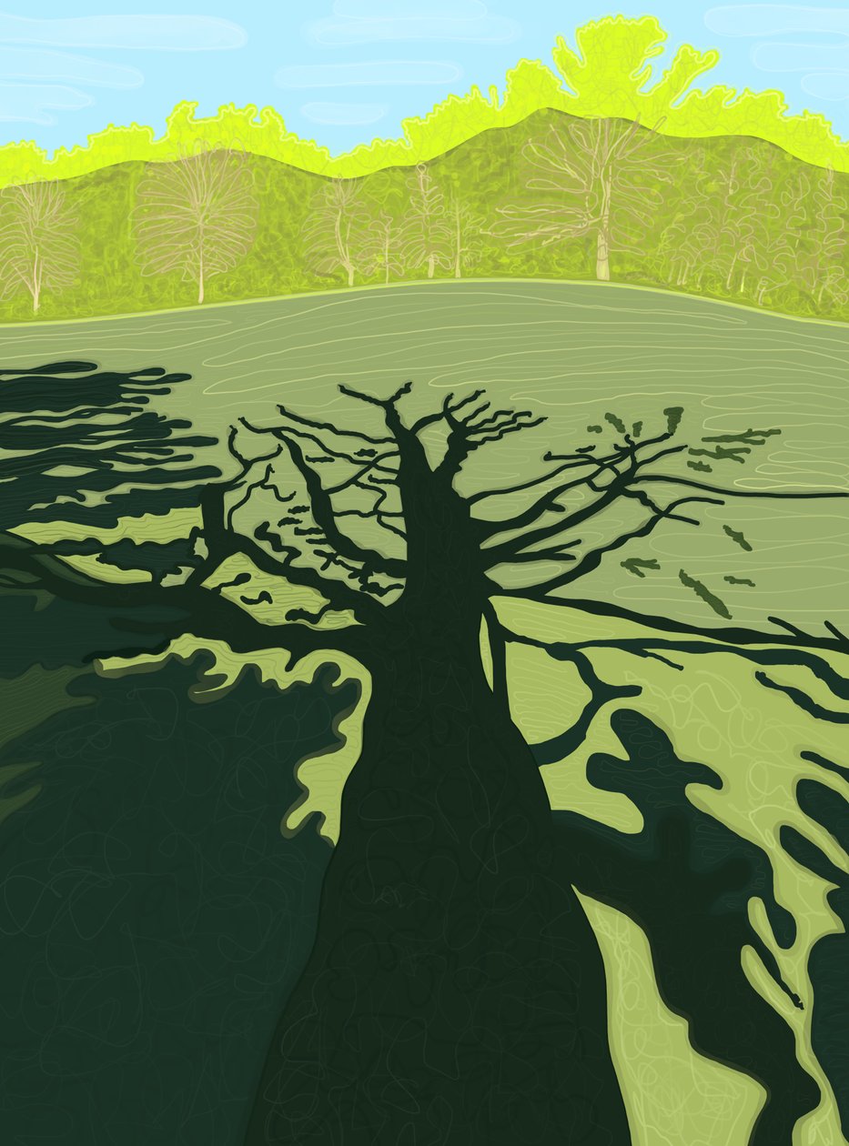Shadow of Tree On Field, Brooklyn (digitális művészet) alkotó: Evan Sklar