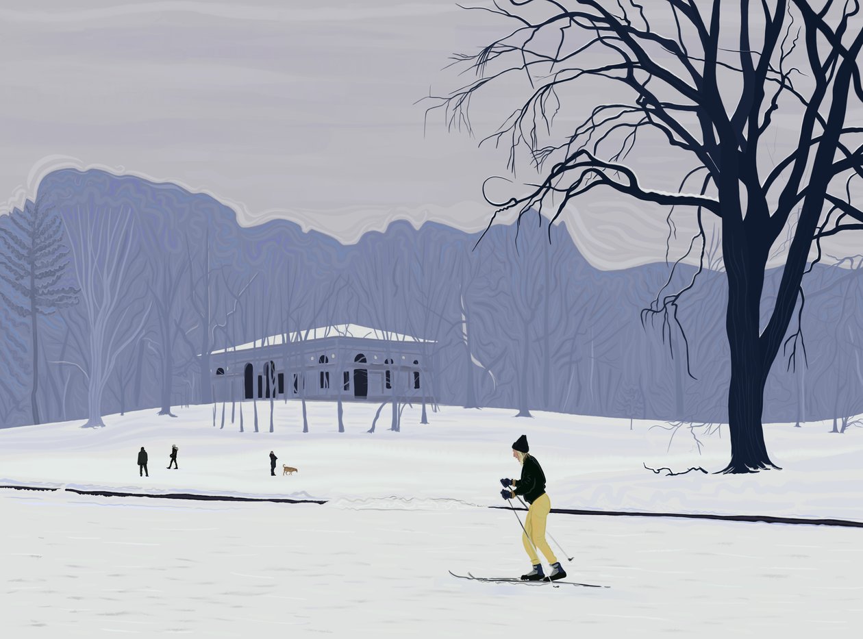 Síelő, Prospect Park , Brooklyn (digitális művészet) alkotó: Evan Sklar