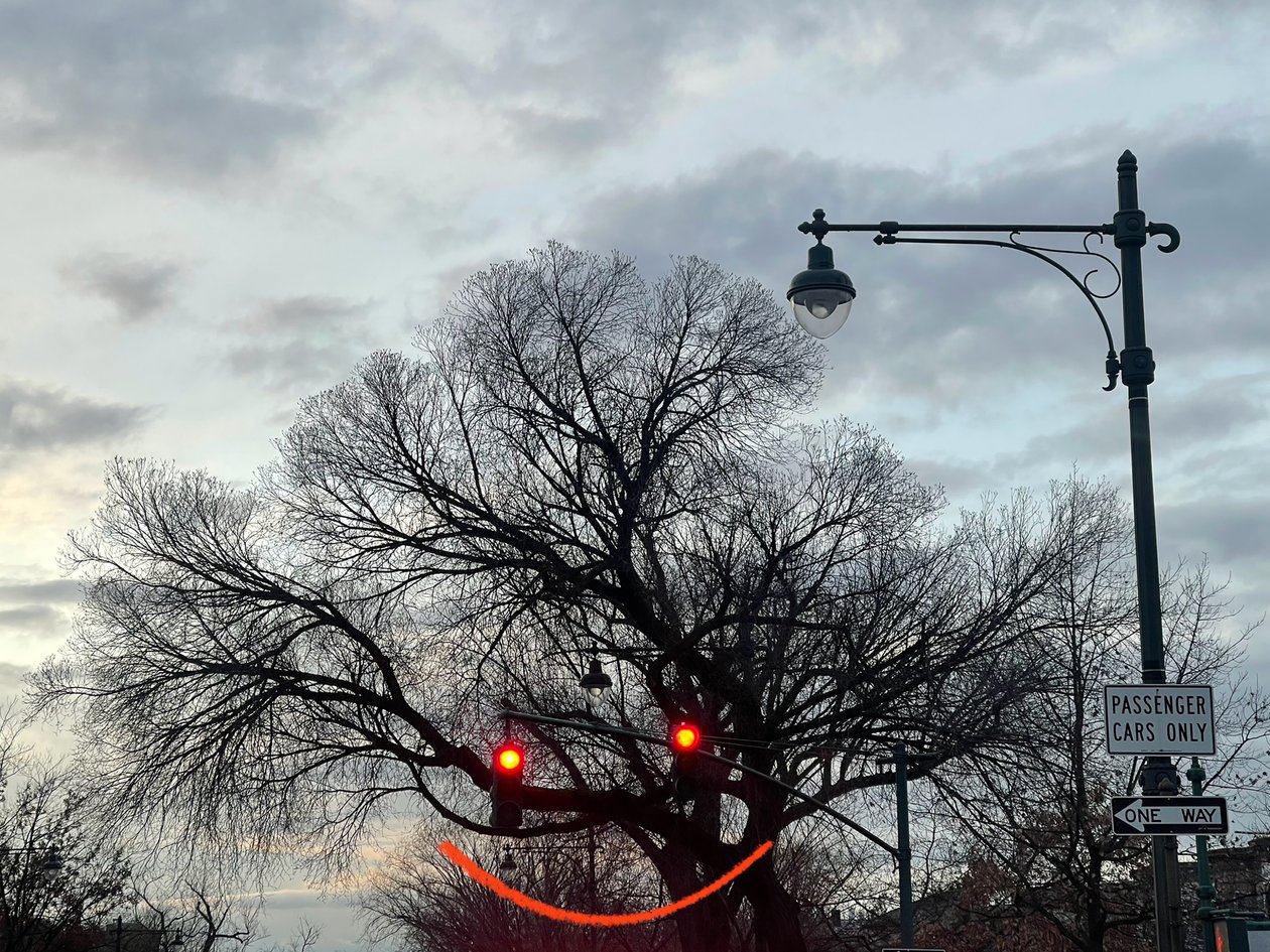 Mosolygó fa és közlekedési lámpák. Brooklyn (digitális művészet) alkotó: Evan Sklar