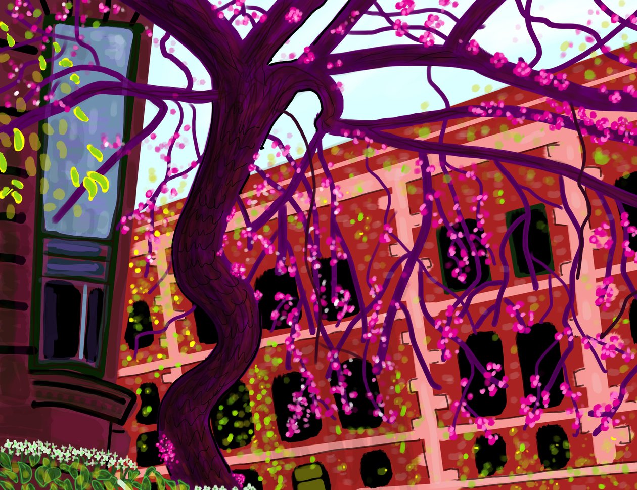 Spring, Brooklyn (digitális művészet) alkotó: Evan Sklar