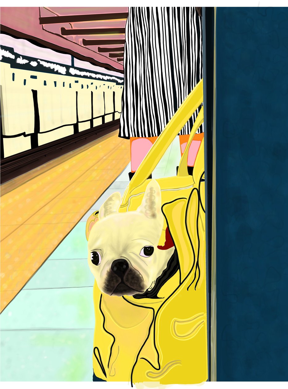 Subway Commuter with Dog In Bag, Brooklyn (digitális művészet) alkotó: Evan Sklar