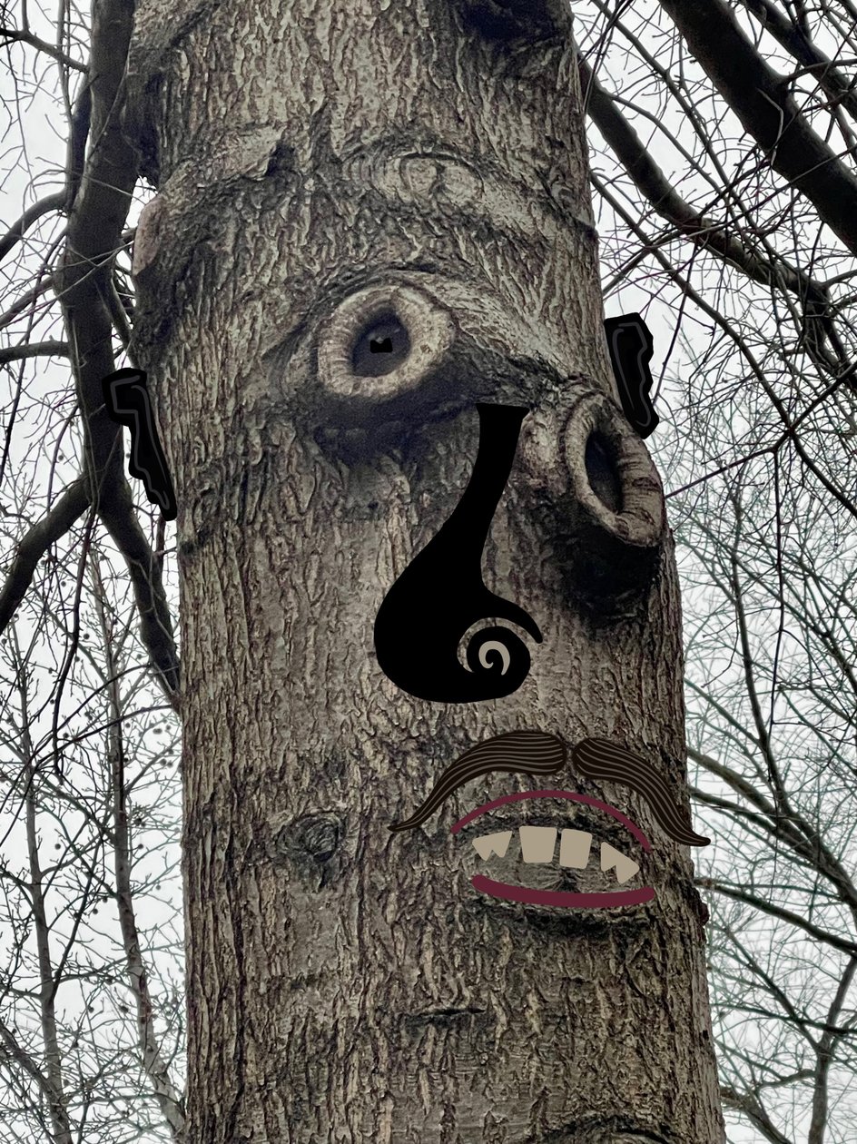 Tree Face , 2020-24 körül (digitális művészet) alkotó: Evan Sklar