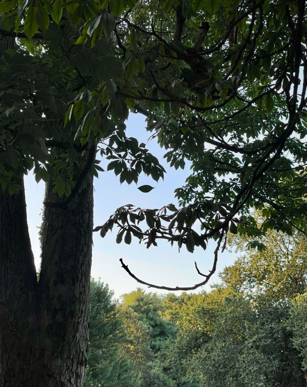 Tree With Smiling Eyes, 2025 (digitális művészet) alkotó: Evan Sklar