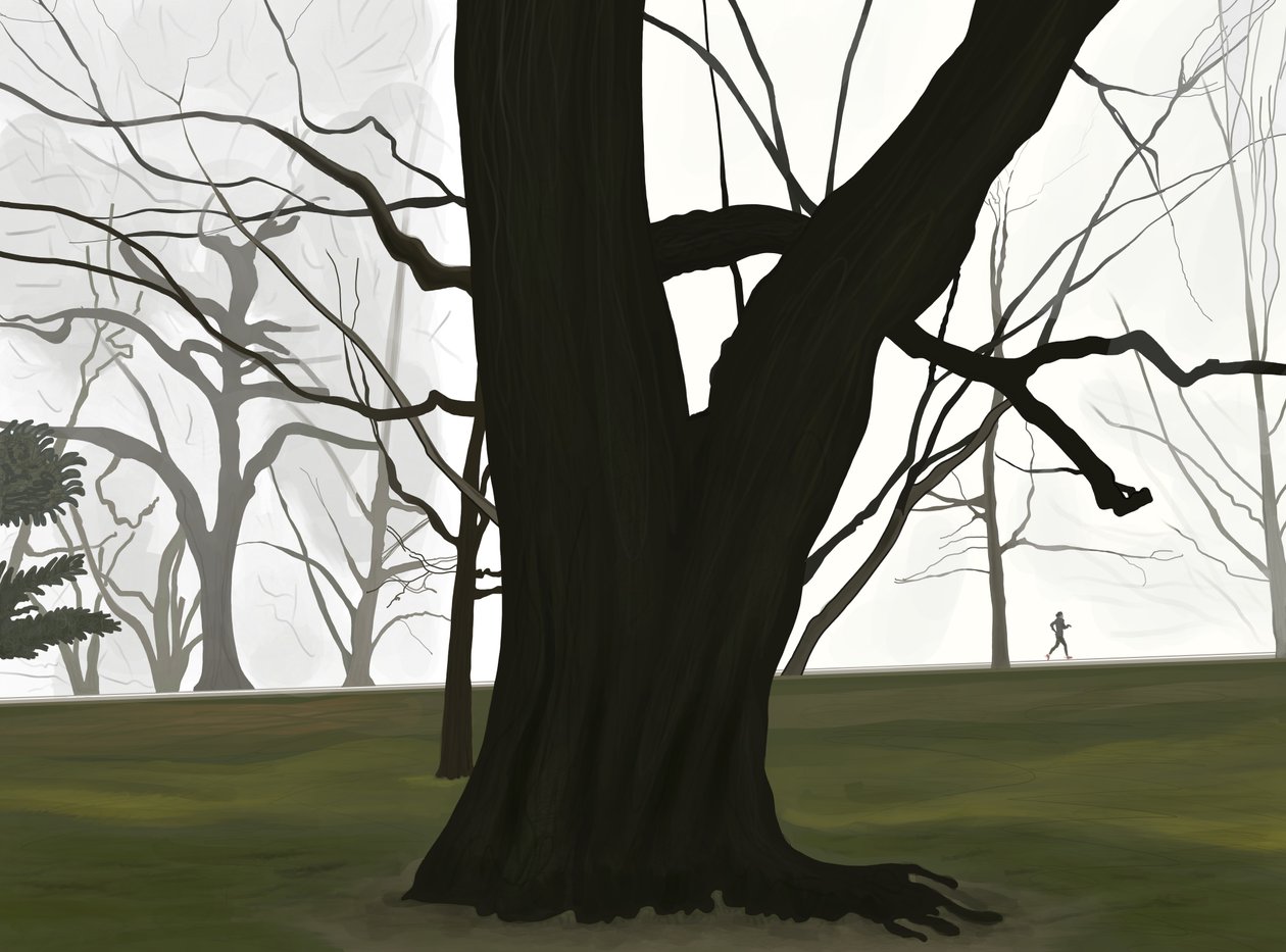 Fa és kocogó. Kora reggel. Prospect park (digitális művészet) alkotó: Evan Sklar