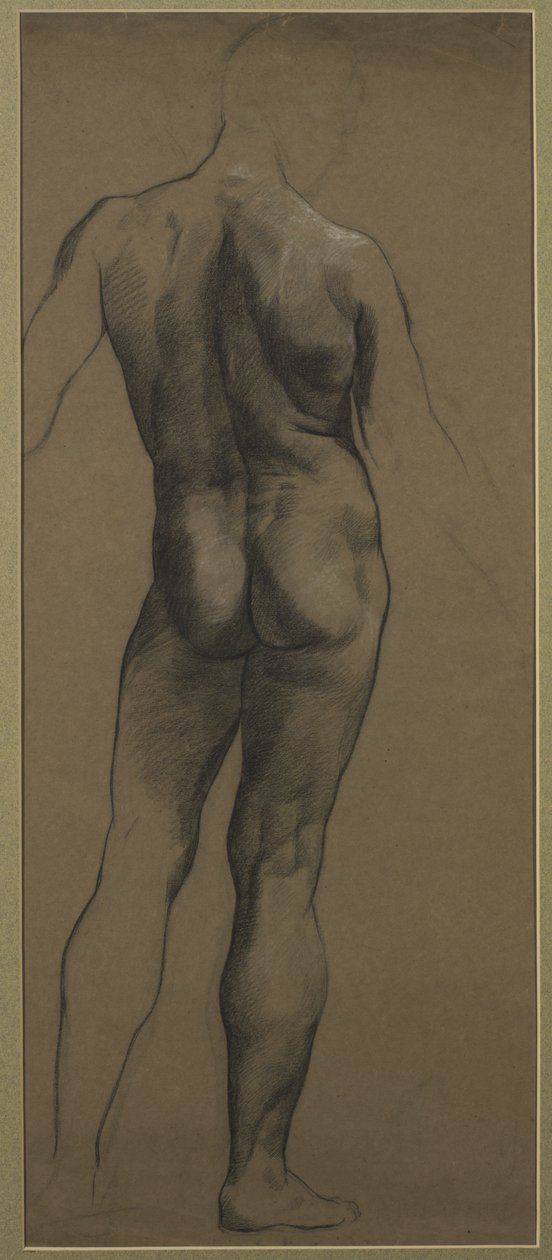 Férfi akttanulmány (fekete és fehér kréta barna papíron) alkotó: Evelyn De Morgan