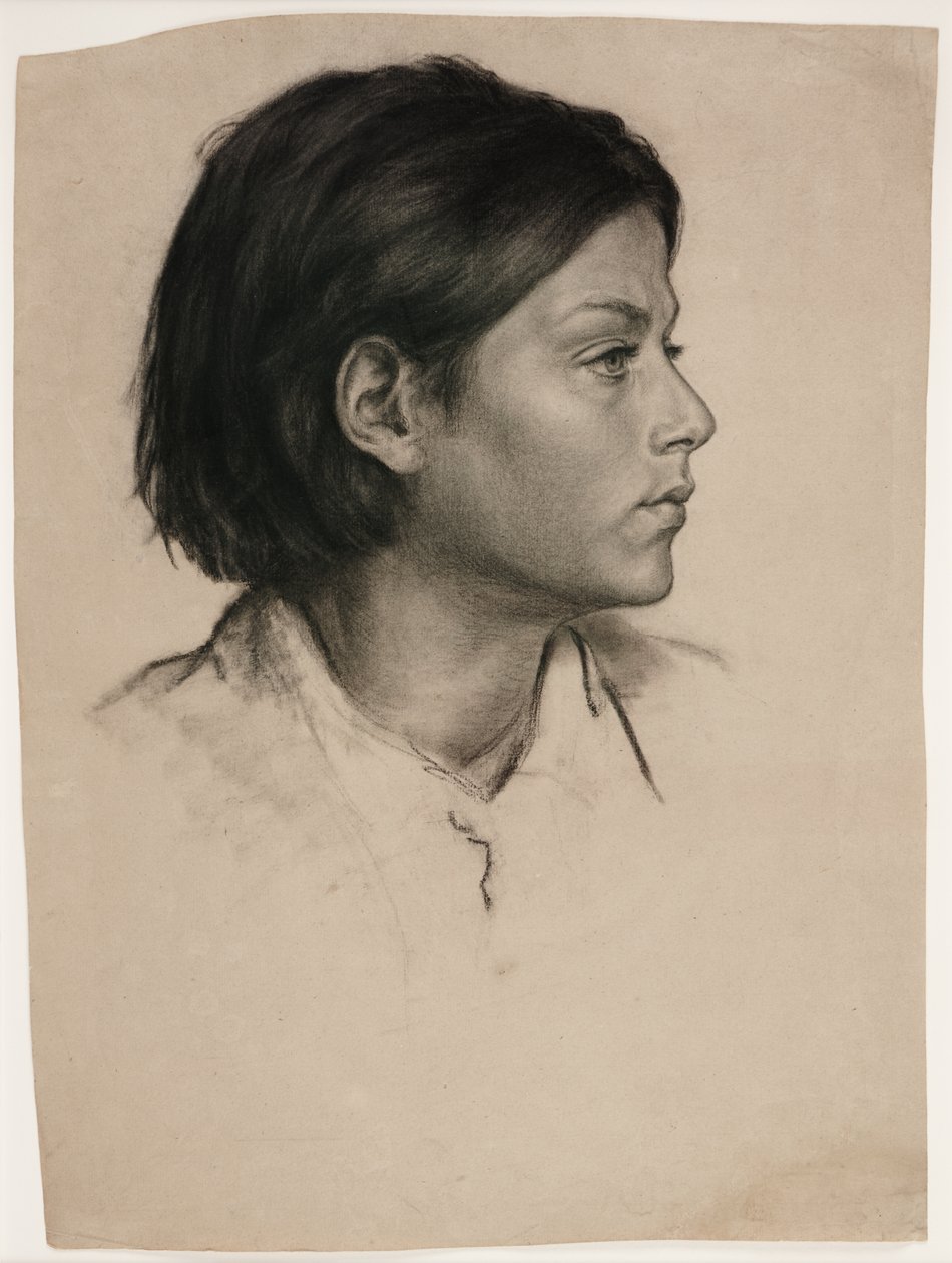 Női fej, 1875 körül (szén, papír) alkotó: Evelyn De Morgan