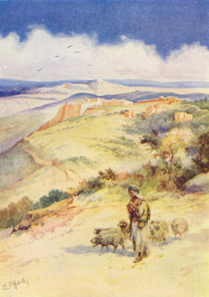  alkotó: Evelyn Stuart Hardy