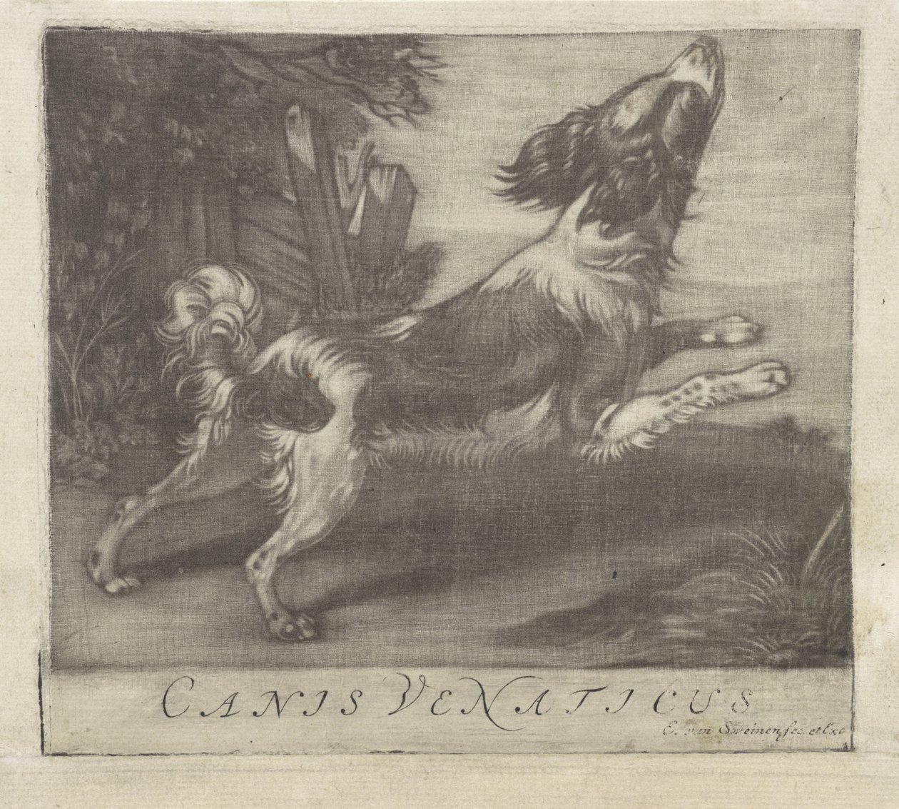 ugró kutya Canis Venaticus (cím a tárgyon) alkotó: Evert van Sweinen